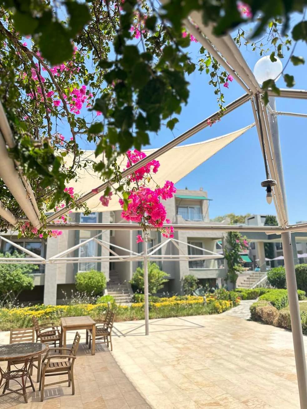 Ambrosia Hotel Beach & Spa Bitez Exterior foto