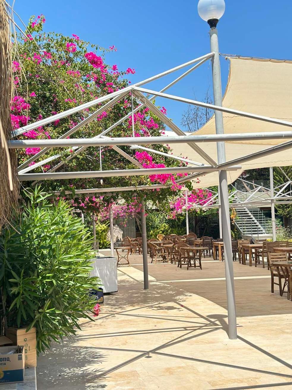 Ambrosia Hotel Beach & Spa Bitez Exterior foto